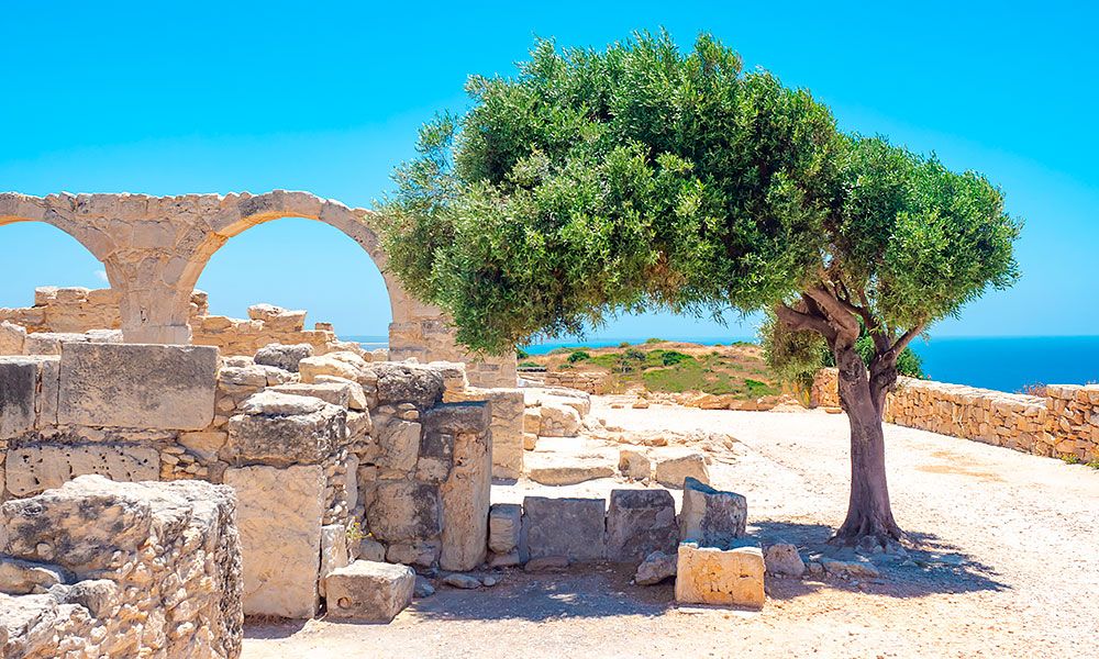 /api/cms/uploads/cyprus_paphos_arheological_park_416787e9fc.jpg