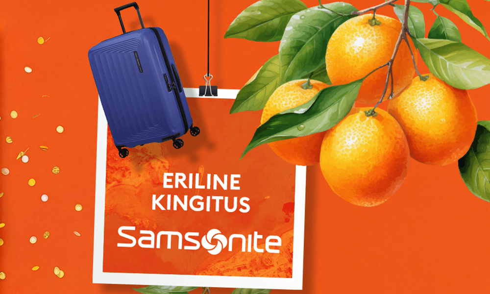 samsonite EE.jpg